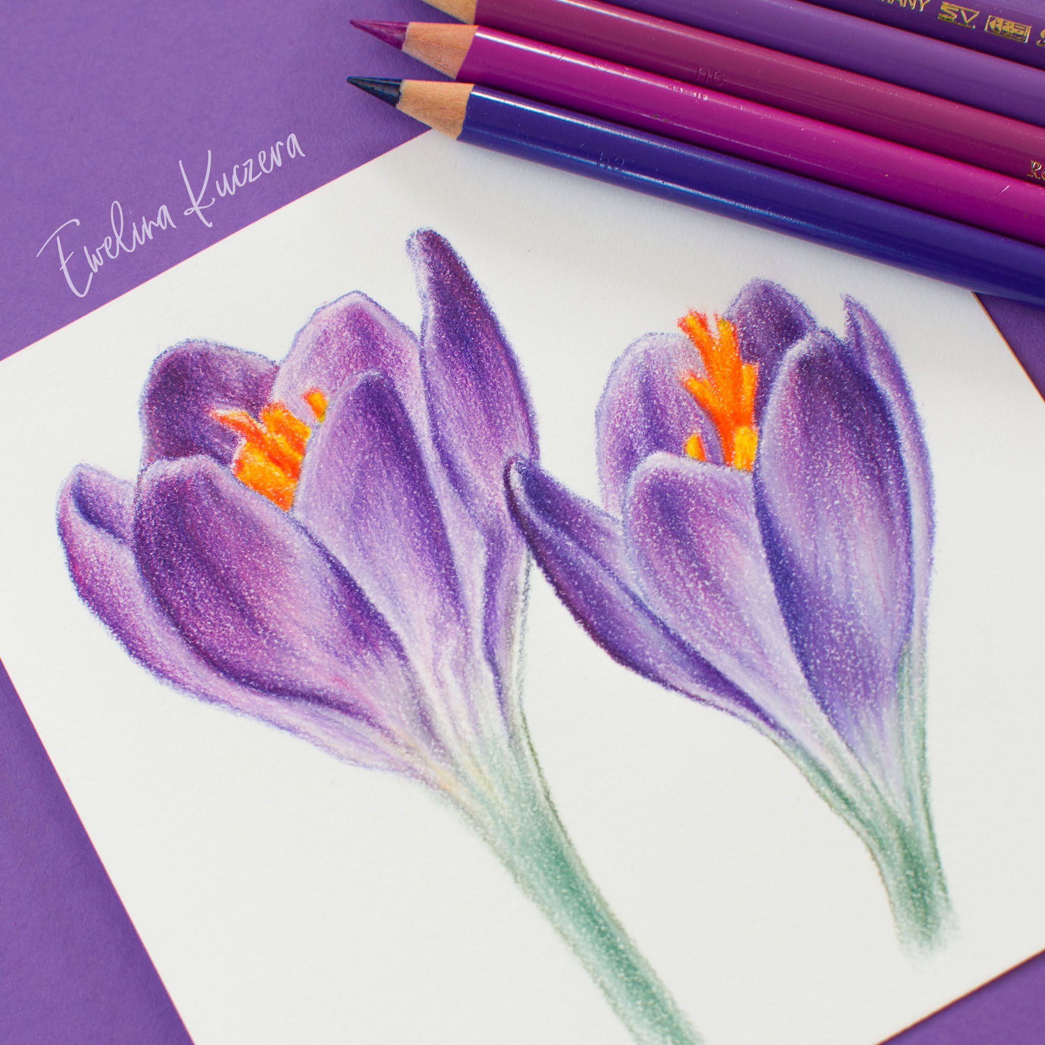 How to draw flowers with colored pencils a step by step tutorial