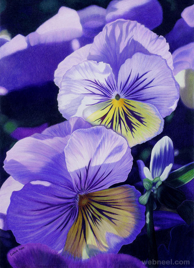 40 Beautiful Flower Drawings and Realistic Color Pencil Drawings