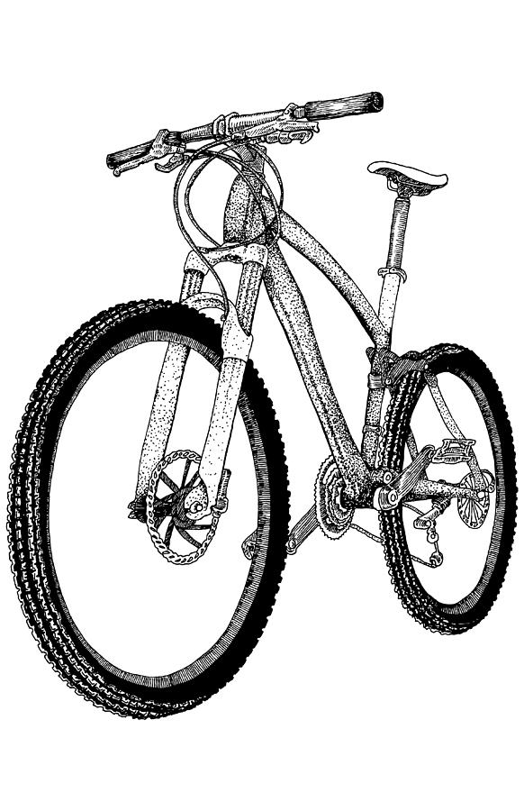 Mountain Bike Drawing by Karl Addison Fine Art America