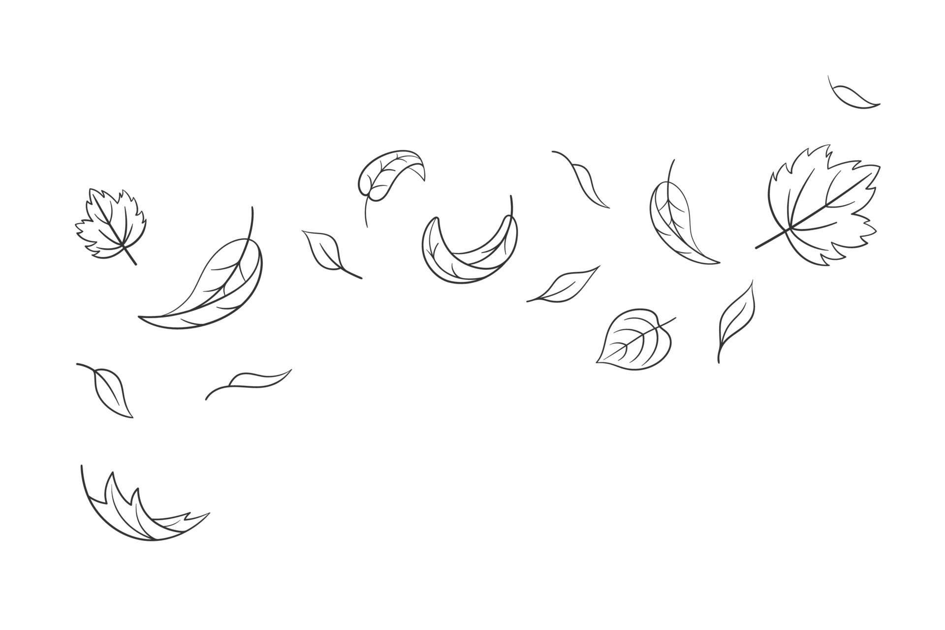 Leaves fall set in doodle style, vector illustration. Wave cold air