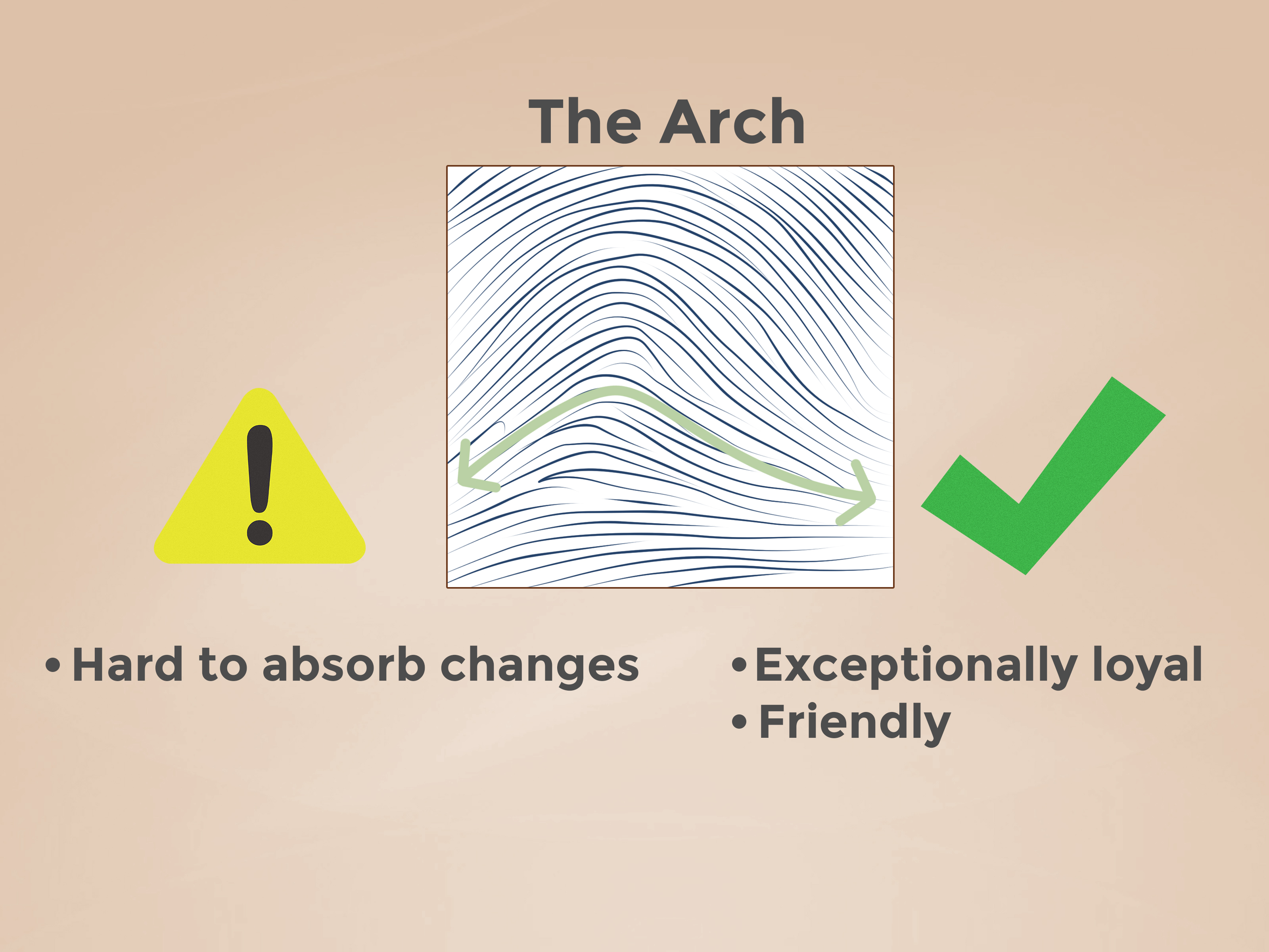 How To Draw A Fingerprint Fingerprint Step By Step