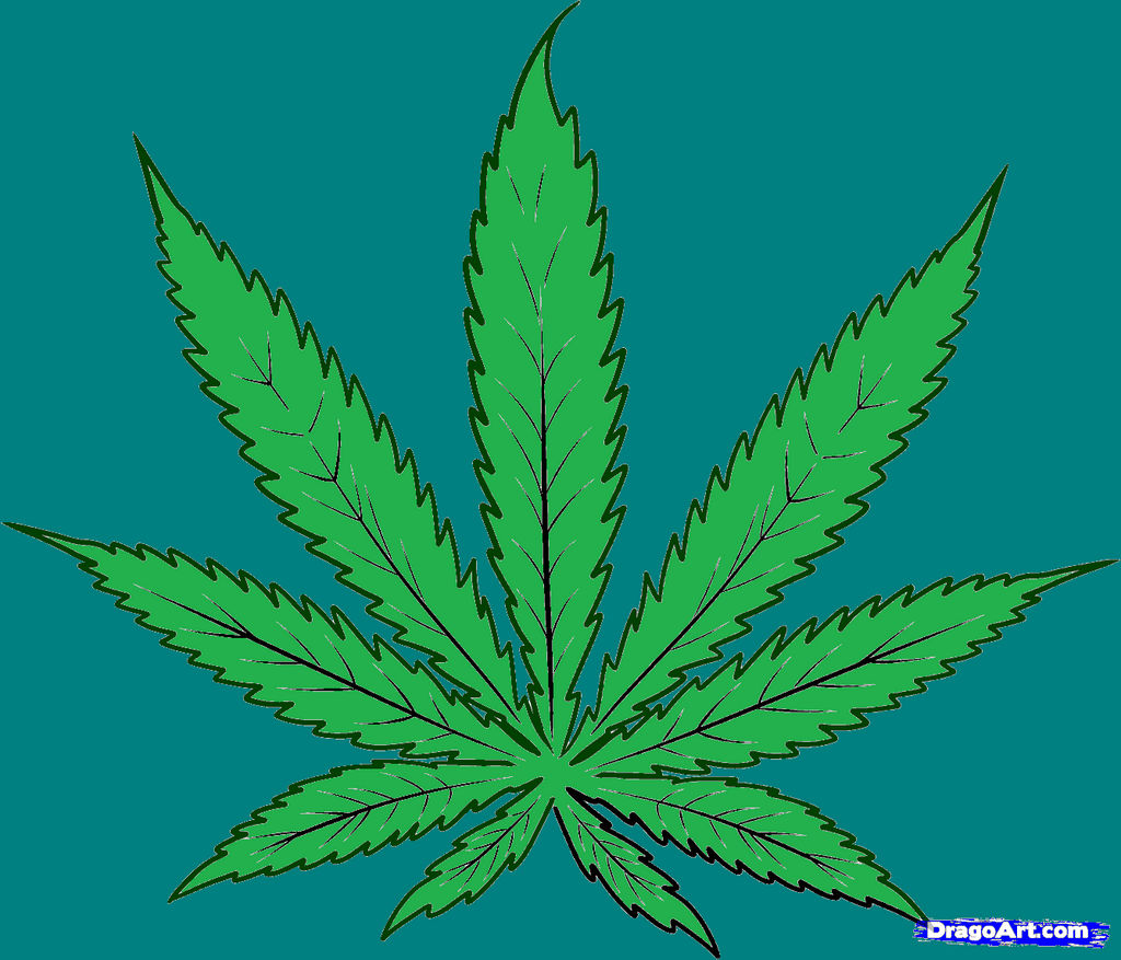 howtodrawcannabis,cannabisleafstep4A by bigkrocks on DeviantArt