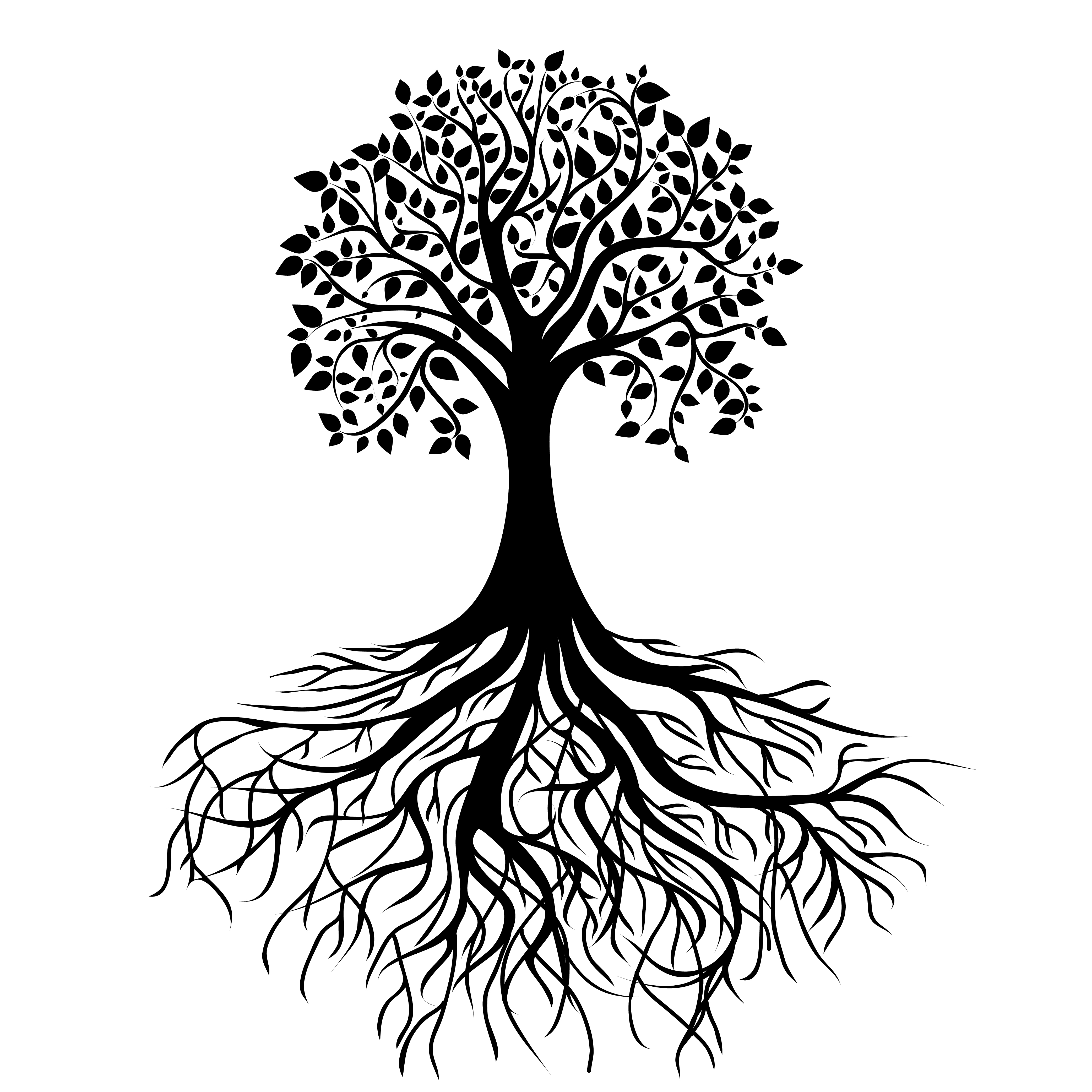 Oak Tree Clipart Black And White Free download on ClipArtMag