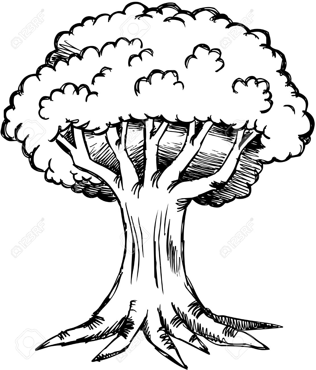 Tree Black And White Drawing at GetDrawings Free download