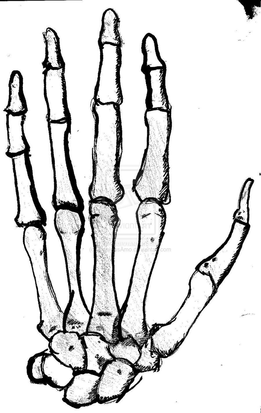 Skeleton Hand Drawing Tutorial at GetDrawings Free download