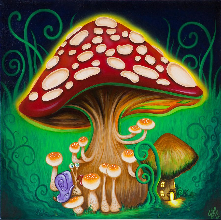 Mushroom Magic by Jennie MacMillan Mushroom art, Trippy mushrooms