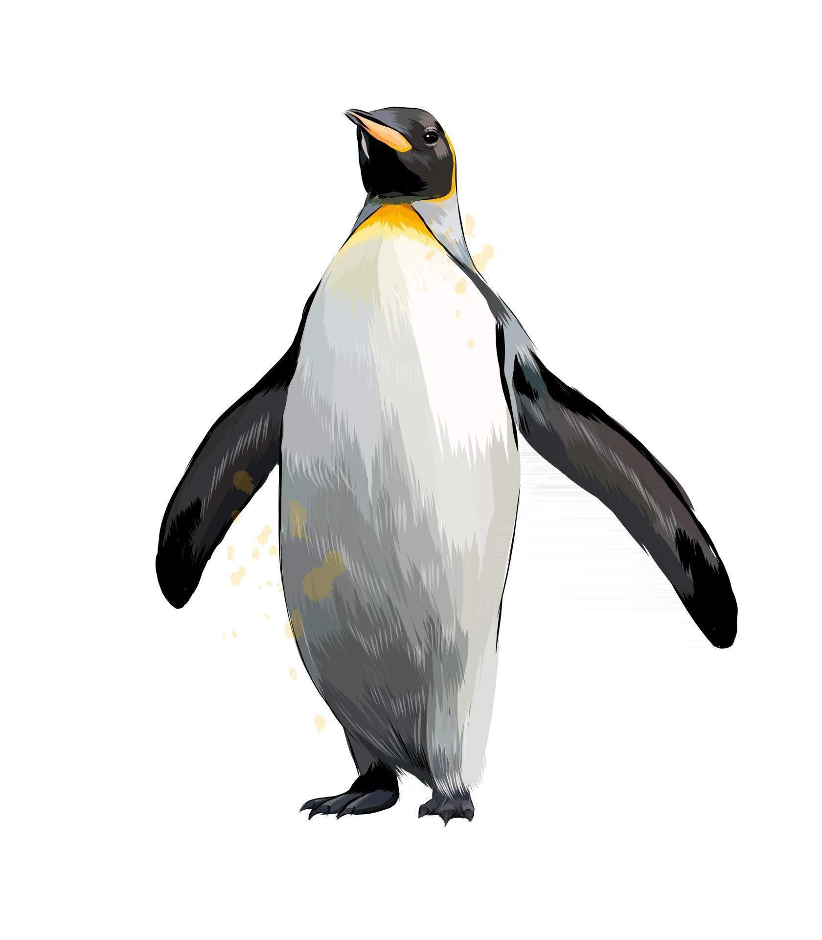 Emperor penguin from a splash of watercolor, colored drawing, realistic