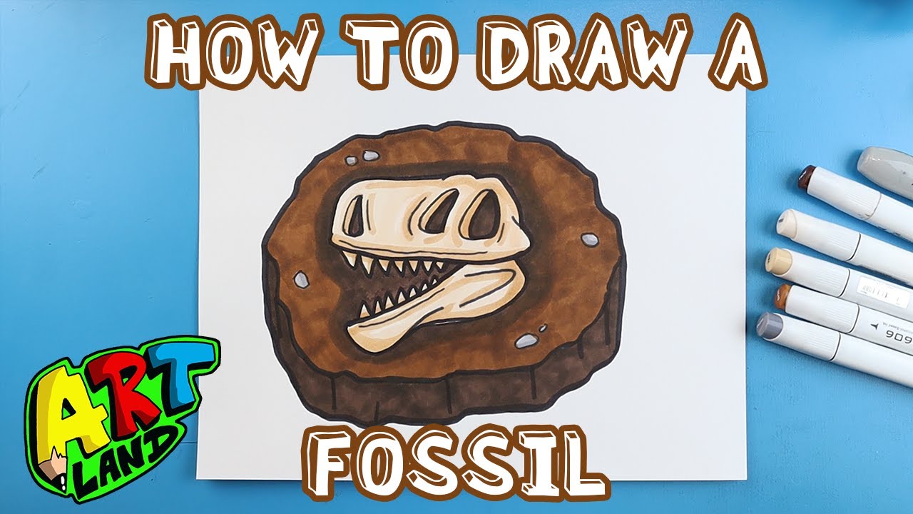 How to Draw a FOSSIL YouTube