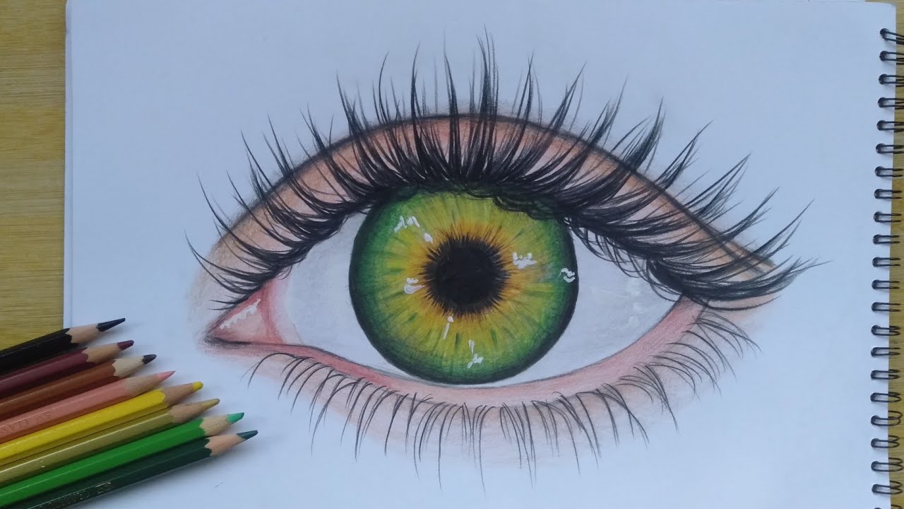 Learn how to draw eye with colored pencils/ Easy step by step YouTube