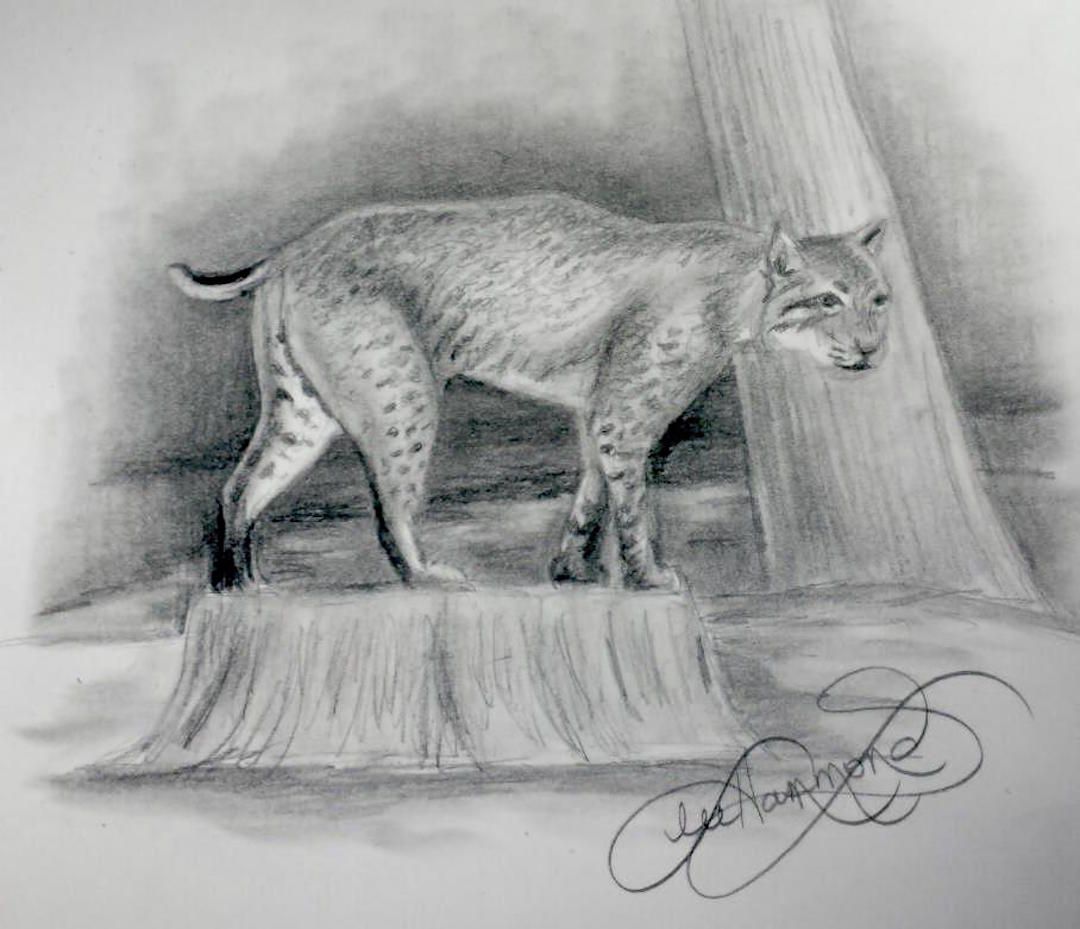 These 4 Simple Steps to Drawing from Life Will Boost Your Artistic Skills