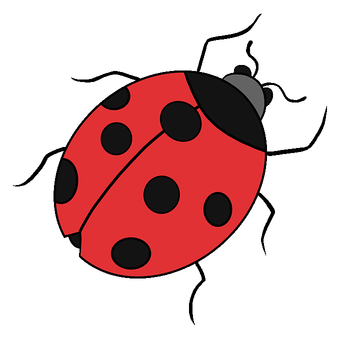 How to Draw a Ladybug Really Easy Drawing Tutorial