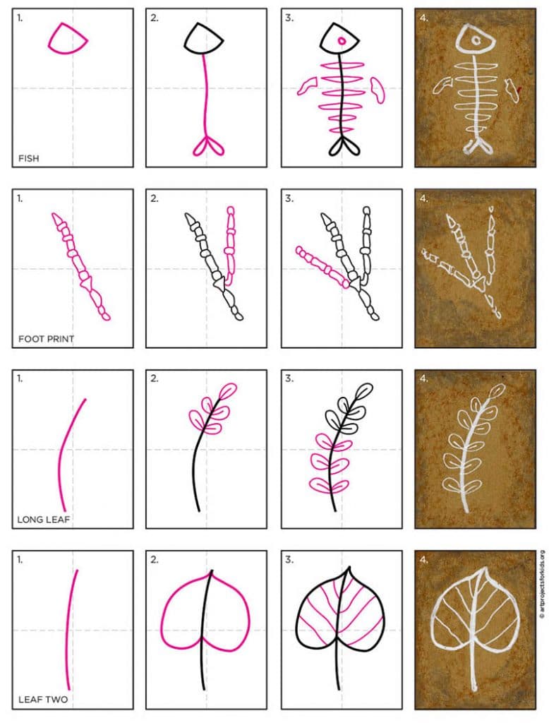 Easy How to Draw a Fossil Tutorial and Fossil Coloring Page