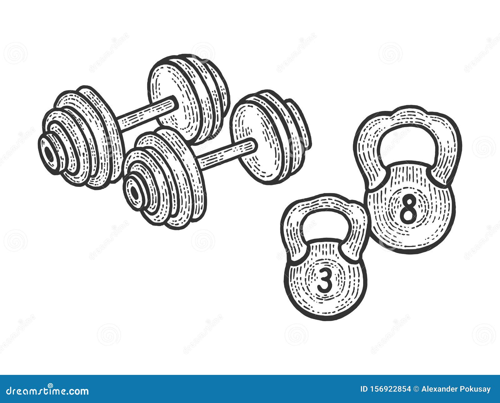 Sport Barbell Weights Dumbbell Sketch Vector Stock Vector
