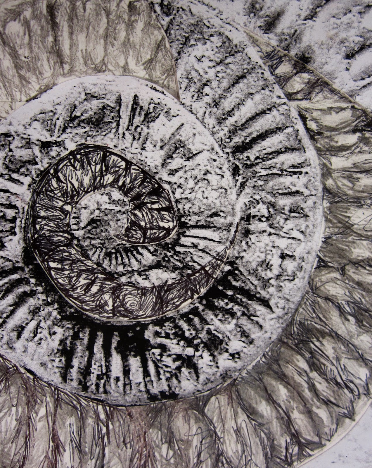 Fossils Drawing