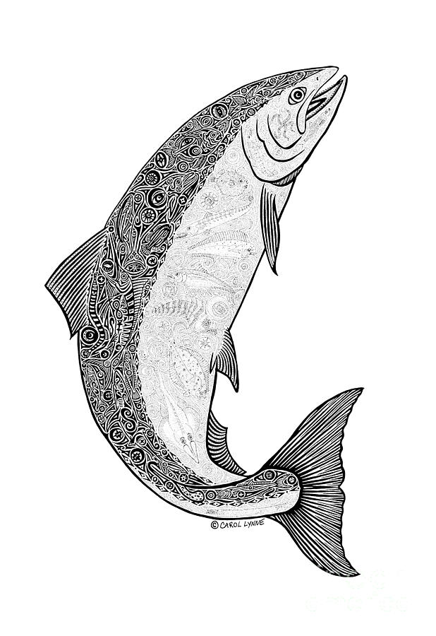 Salmon II Drawing by Carol Lynne