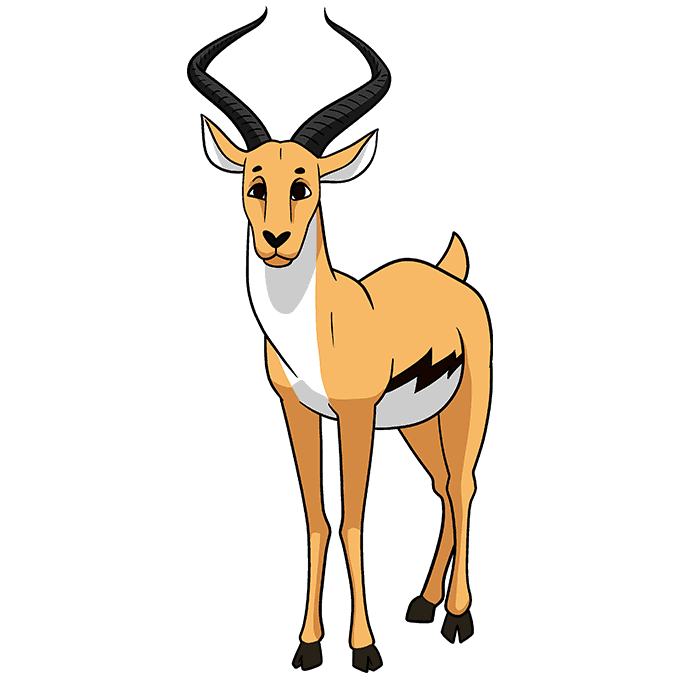 How to Draw an Antelope Really Easy Drawing Tutorial