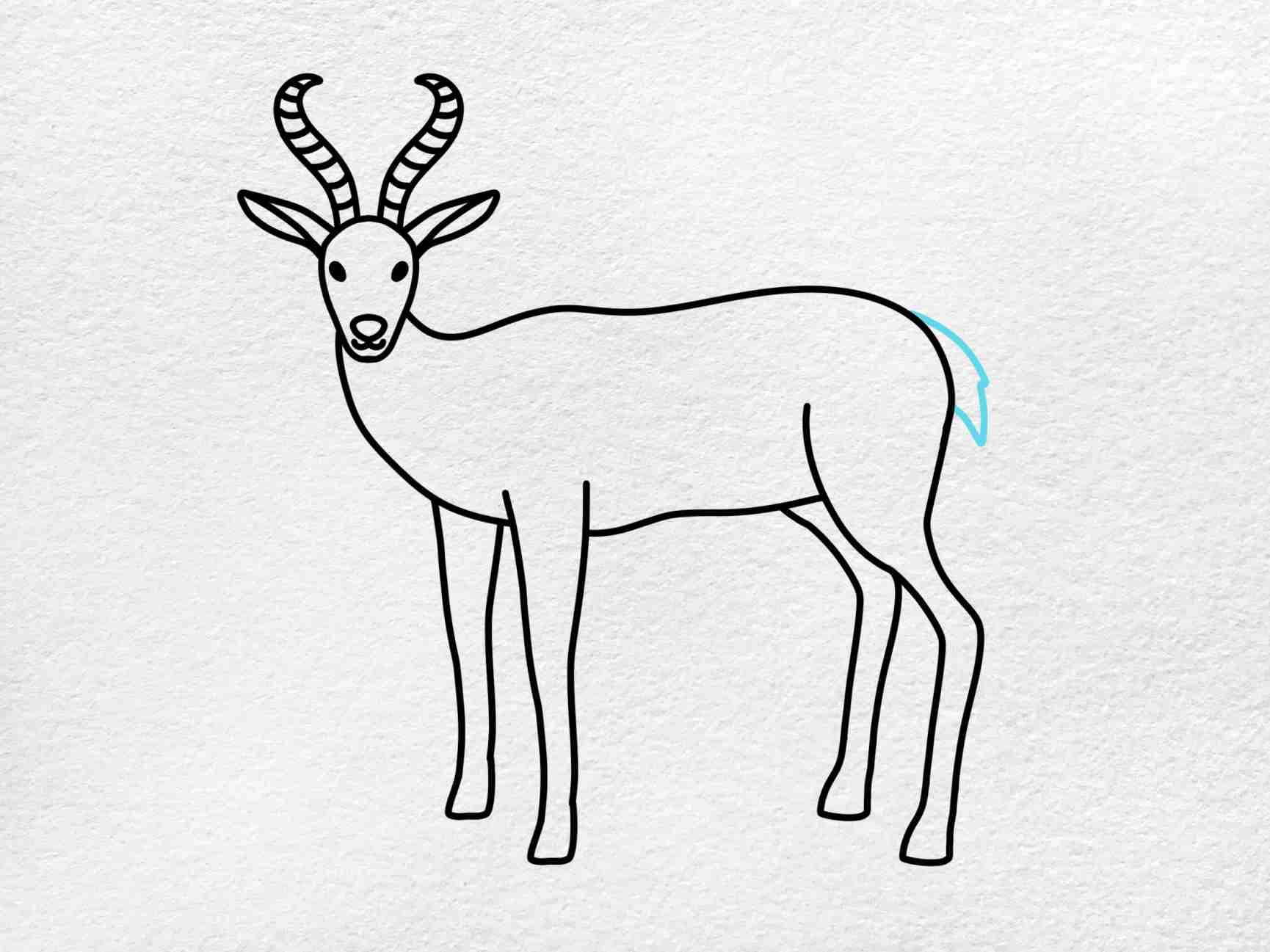Antelope Drawing HelloArtsy