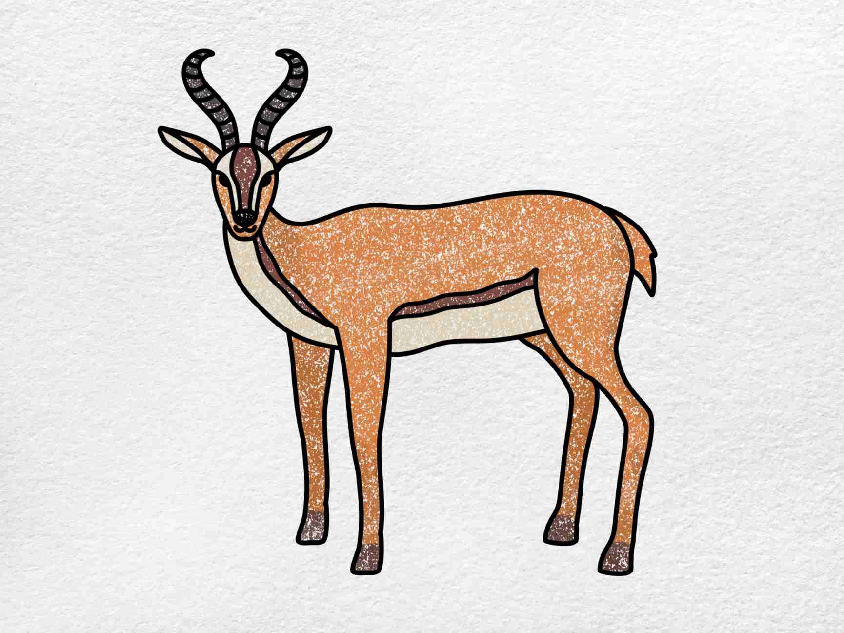 Antelope Drawing HelloArtsy